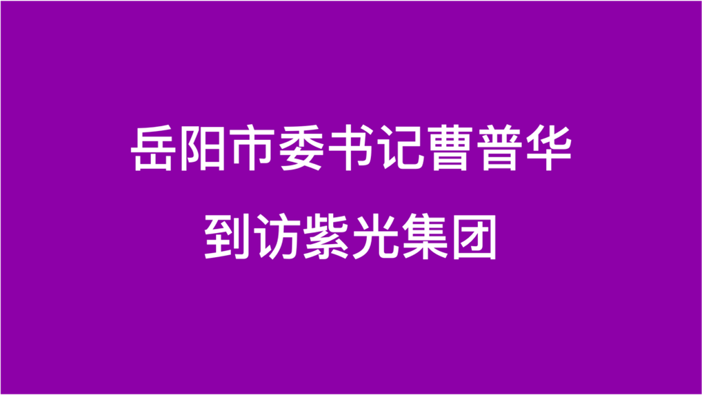 岳阳市委书记曹普华到访龙8集团